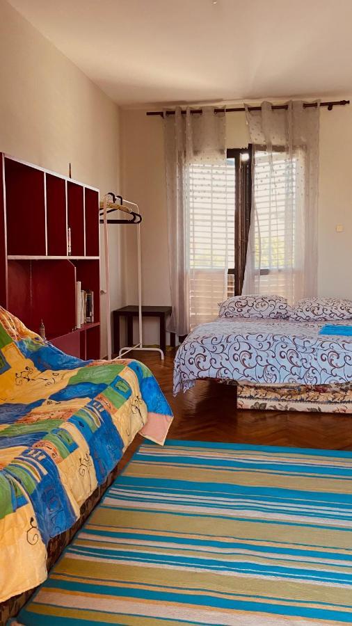 Garden View Guestroom Подгориця Екстер'єр фото